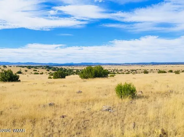 0 Arapaho Dr, Concho, AZ 85924