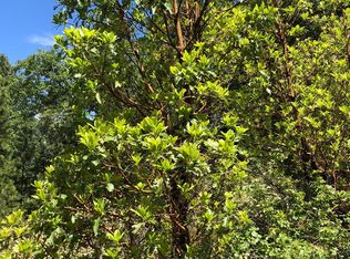 55 Canyon Creek Rd, Dutch Flat, CA 95714