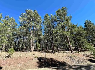Back Basin Rd, Angel Fire, NM 87710