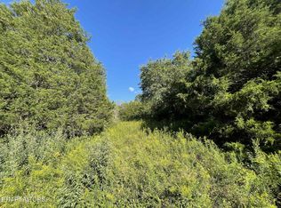 Little Sycamore Rd, Tazewell, TN 37879