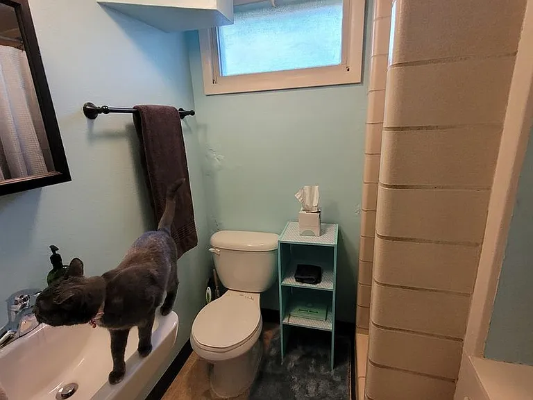 1517 Steele St — Photo 16