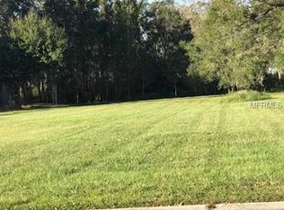 806 Turtle River Ct, Plant City, FL 33567