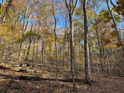 0 Lake View Dr Lot 59, Smithville, TN, 37166