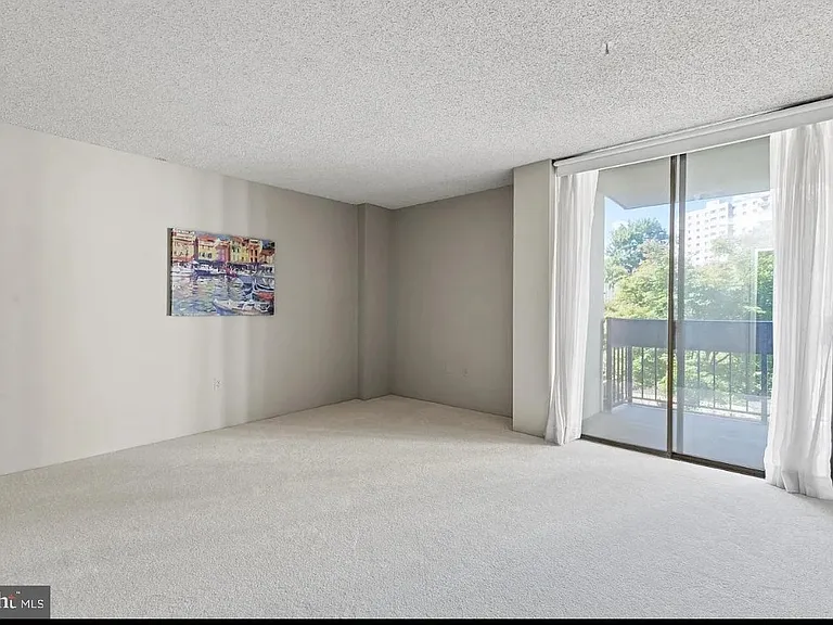 5300 Holmes Run Pkwy #319 — Photo 12
