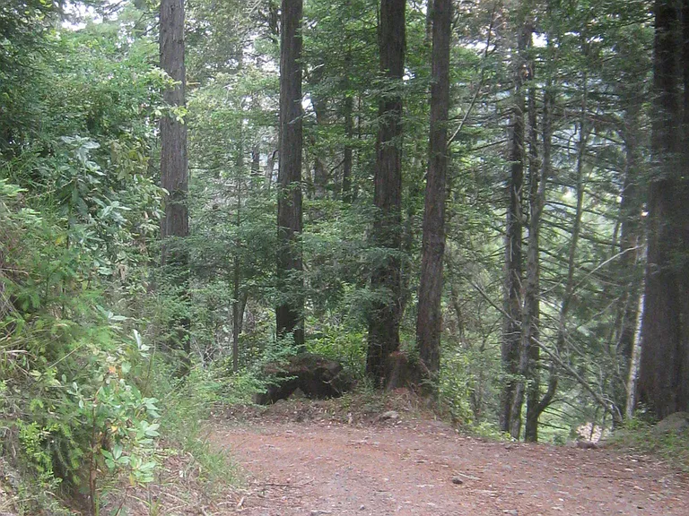 Cazadero Hwy — Photo 29