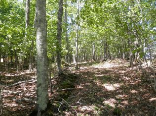 150 Tralee Trl, Curtis, MI 49820