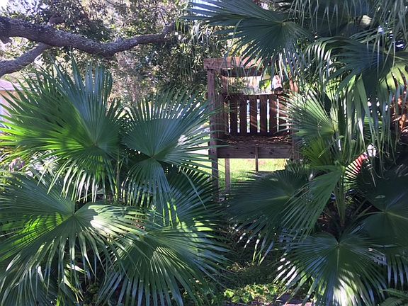 playhouse in front yard