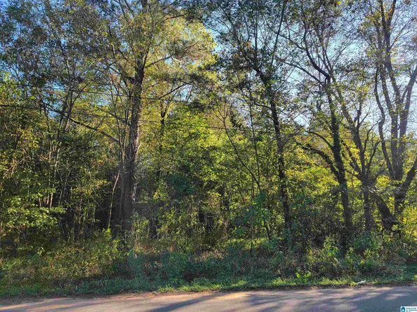 308 Pine St SW, Bessemer, AL 35022