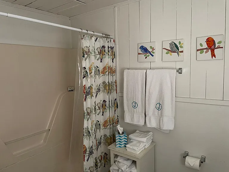 Shower/Tub Combo