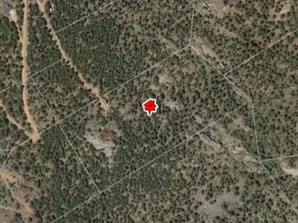 13768 Elsie Rd, Conifer, CO 80433