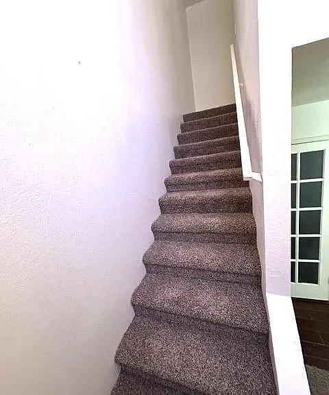 165 Tiger Ln — Photo 6