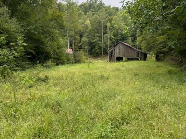 1700 Beech Grove Rd, Isonville, KY 41149