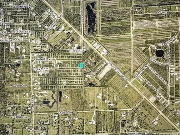 3rd image of 7000 Guava Ave
