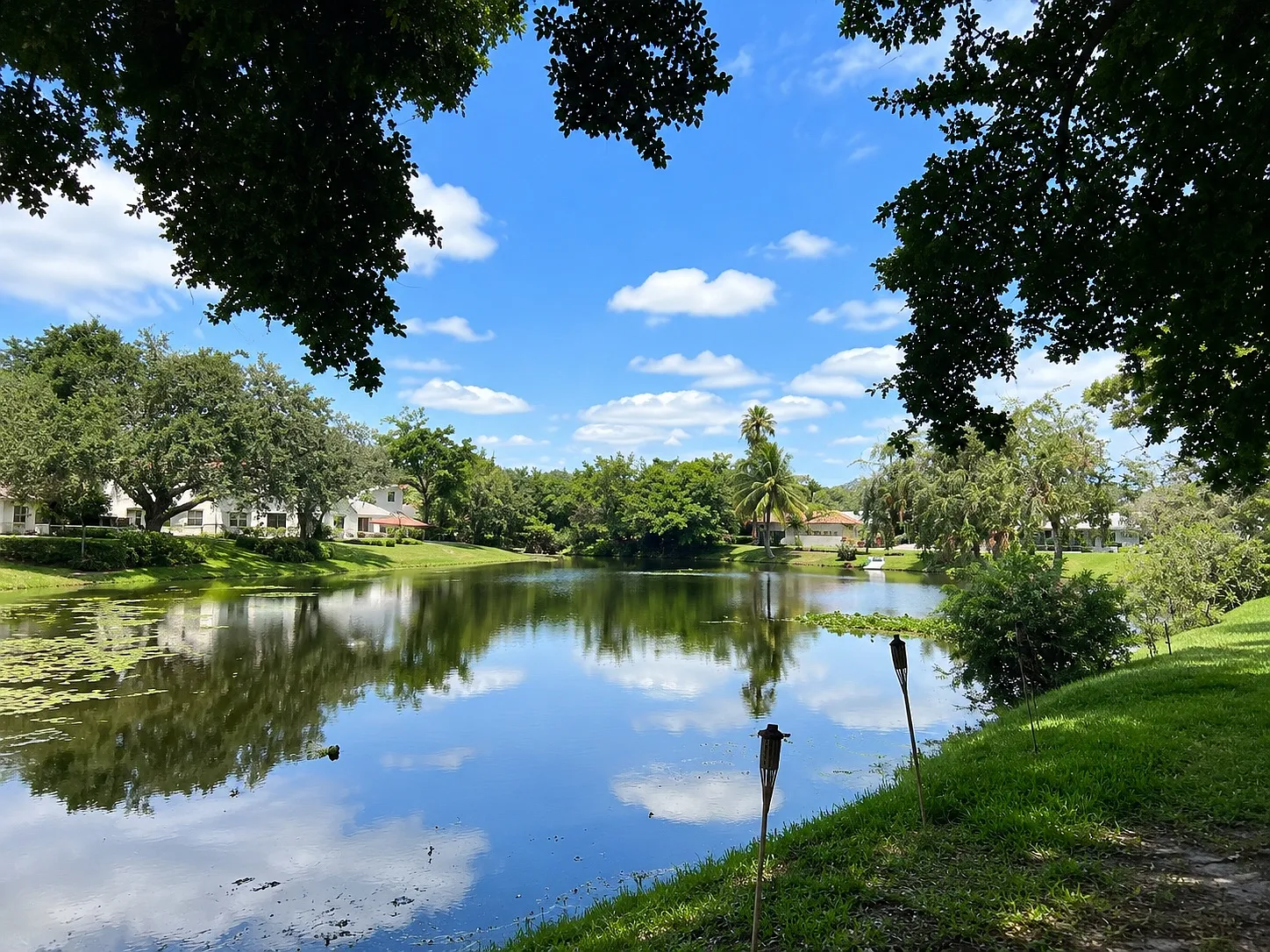2 bed, 1000 sqft, $1,900 — Photo 4