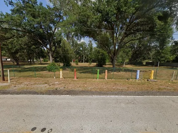 Livingston Ave, Lutz, FL 33559