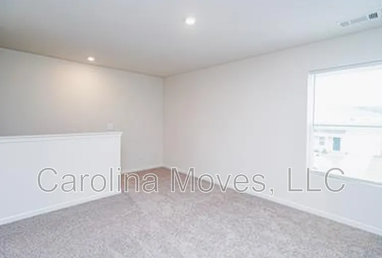 507 Springtime Ln — Photo 5