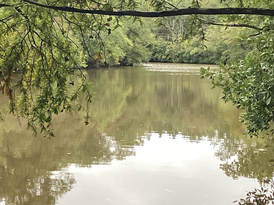 77 Harbor Rd, Andalusia, AL 36421 MLS 24611 Zillow