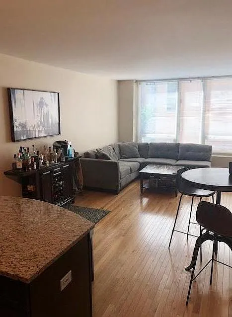 1 bed, 960 sqft, $2,650 — Photo 4