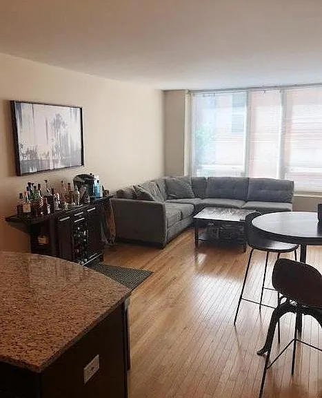 33 W Ontario St #15E — Photo 4