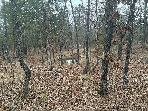 3rd image of 45075 Blake Dr