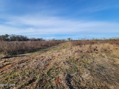 Gainer Cemetery Rd, Graceville, FL, 32440
