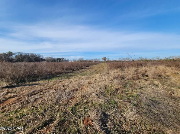 Gainer Cemetery Rd, Graceville, FL 32440