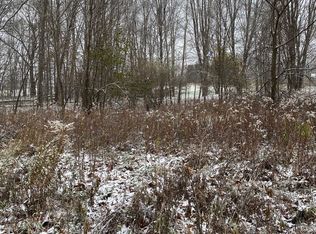 10011 & 10021 Woodlawn, Jerome, MI 49249