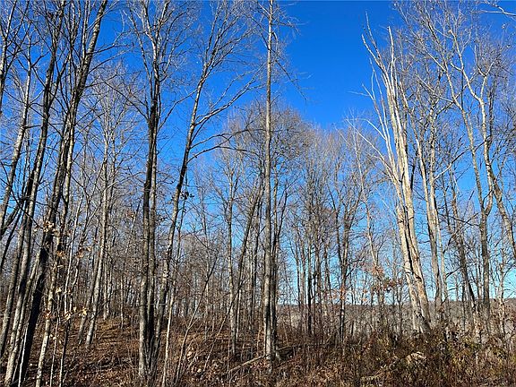5th image of N/A Gardner Lake Rd