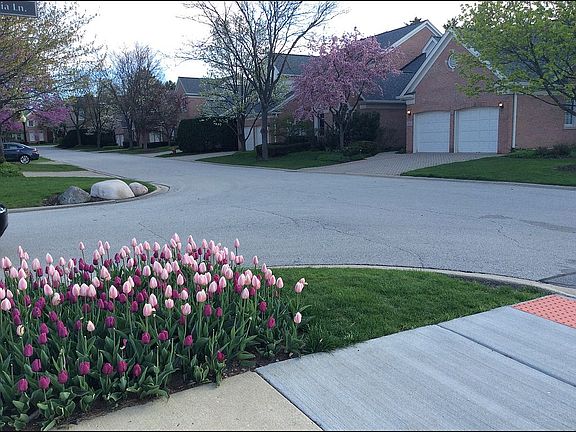 Home upon entering community