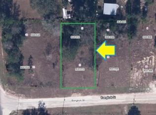 102 Bangkok St, Interlachen, FL 32148