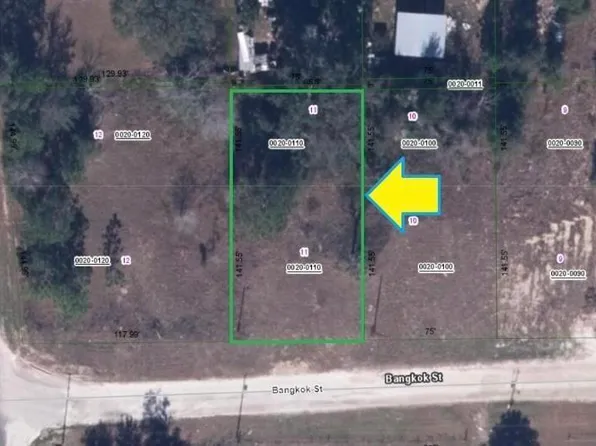 102 BANGKOK Street, Interlachen, FL 32148