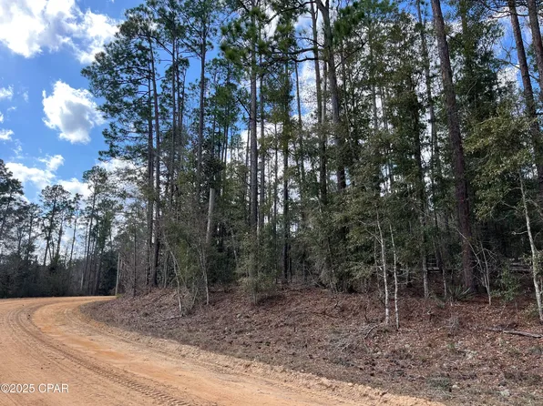 LOT 5 Hood Ave, Alford, FL 32420