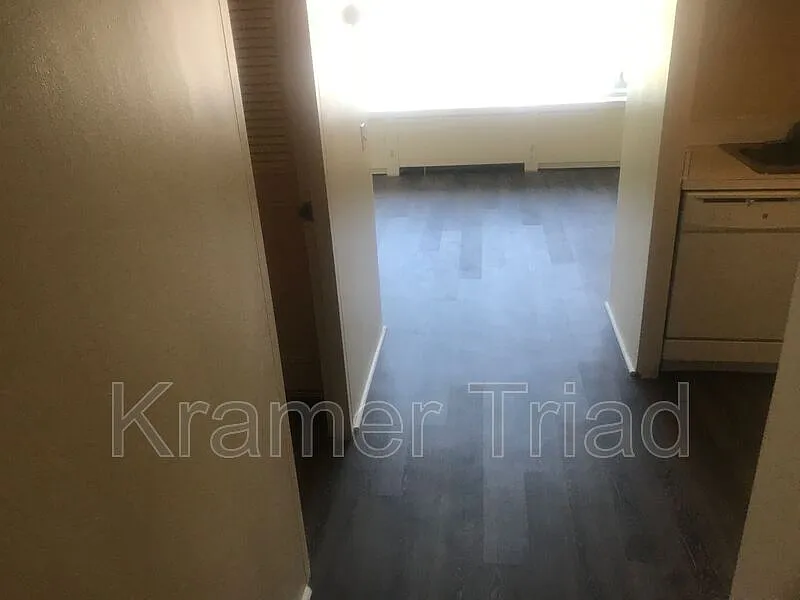 1 bed, 1.0 bath, 392 sqft, $1,600 — Photo 4