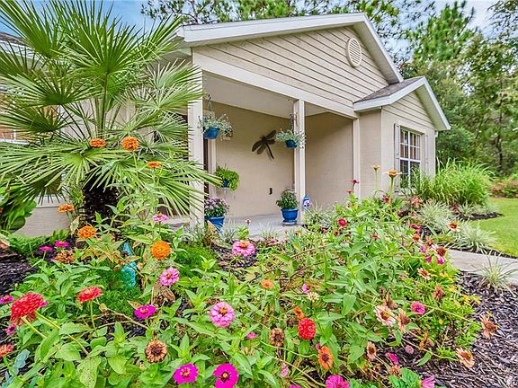 3rd image of 8716 N Paradisea Dr