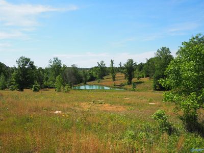 Tall Pine Rd, Hartselle, AL, 35640