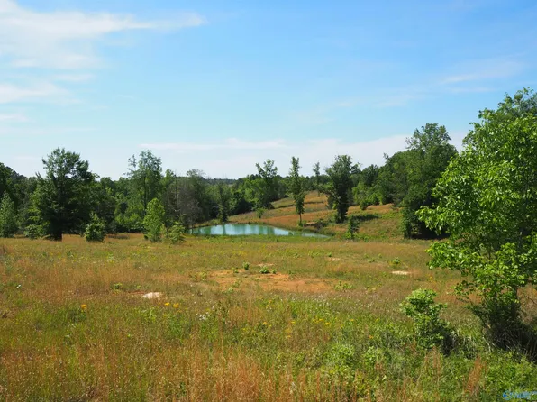 Tall Pine Rd, Hartselle, AL 35640