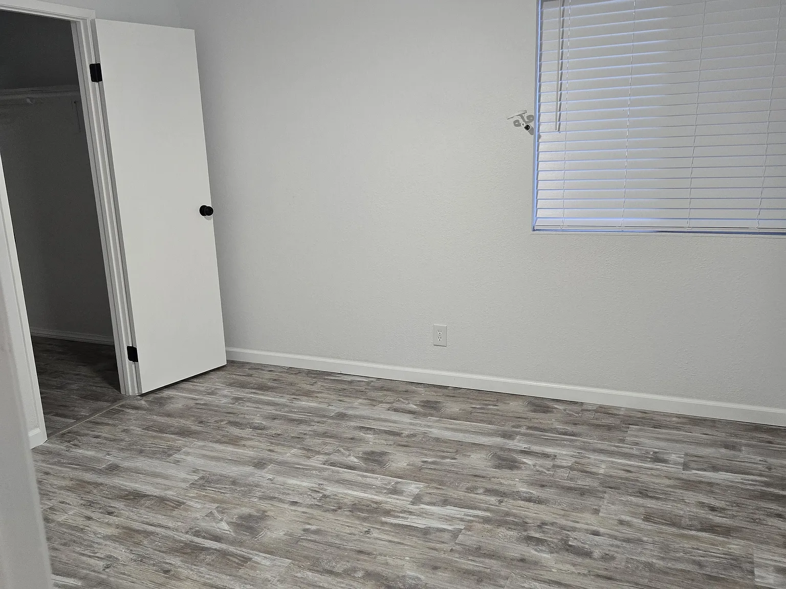 686 Wind River Dr — Photo 4