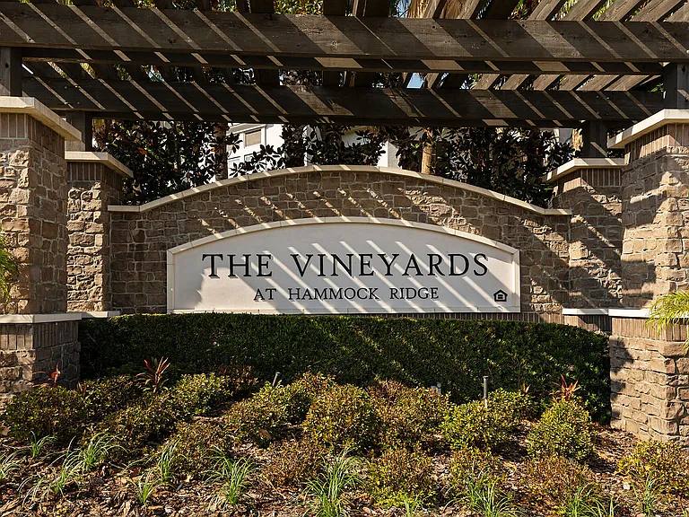 The Vineyards at Hammock Ridge — Photo 38