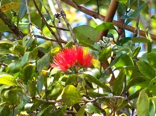 Road 5 LOT 4067, Mountain View, HI 96771