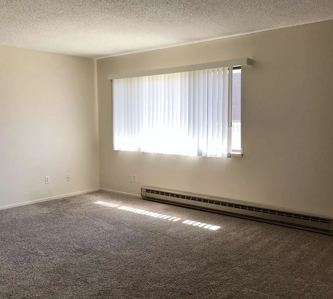 3107 Palm Court - 3 — Photo 2