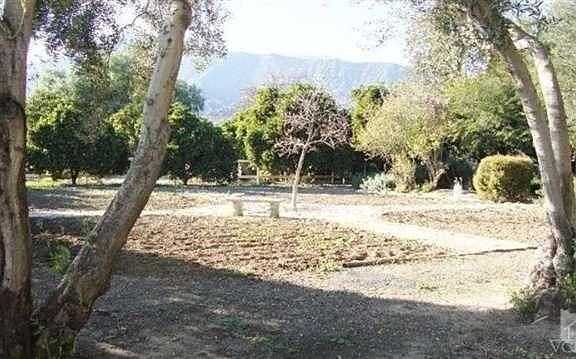 Front yard has been rototilled for quadrant gardening, vegetables or?