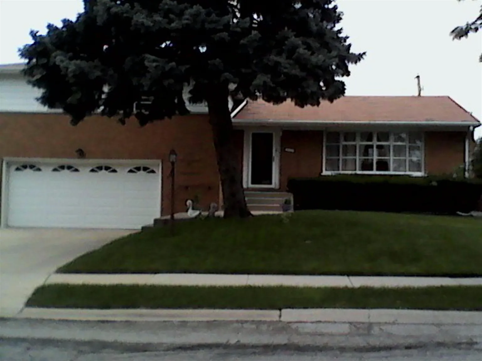 561 Rose Dr photo 1