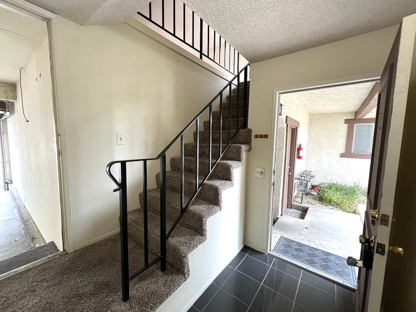 319 Josie — Photo 3
