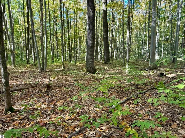0 Bear Ln NE, Kalkaska, MI 49646