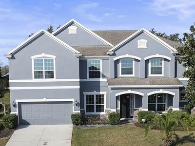 887 Daisy Hill Ct, Apopka, FL, 32712