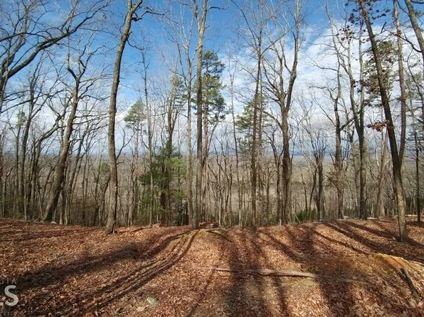 142A Teel Mountain Ln, Cleveland, GA 30528