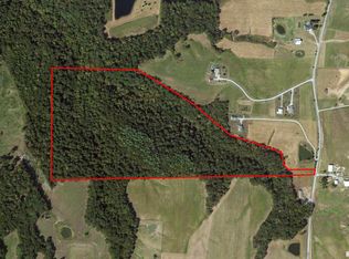 705 Webb Town Rd, Ozark, IL 62972