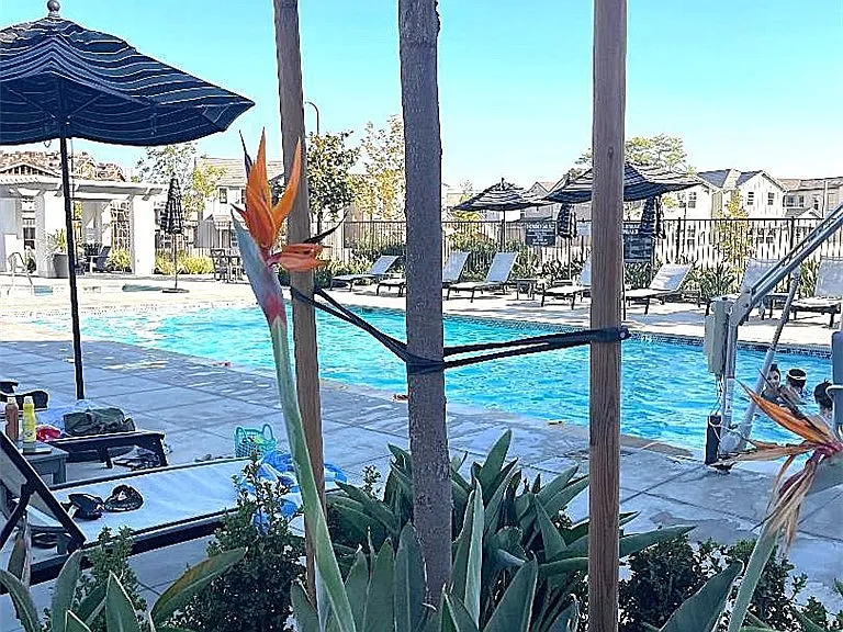 187 Capistrano Dr #187 — Photo 22