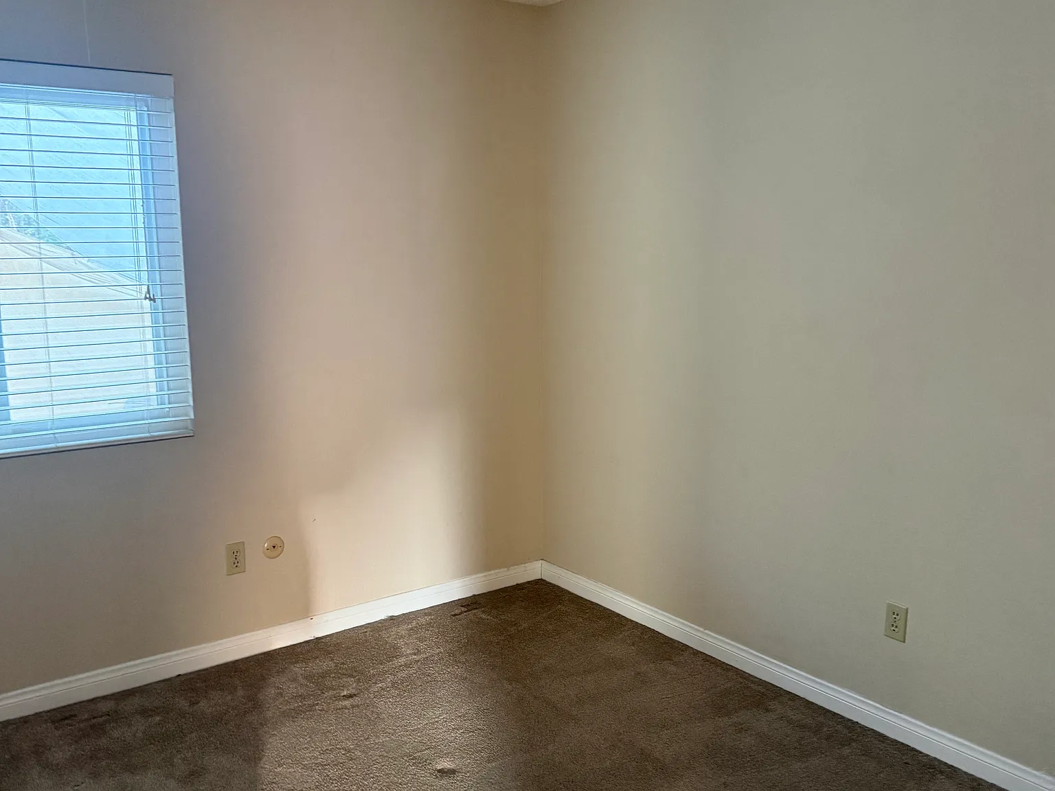 4 bed, 1557 sqft, $4,250 — Photo 3