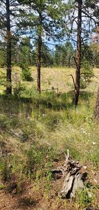 27793 Fawn Drive, Conifer, CO, 80433